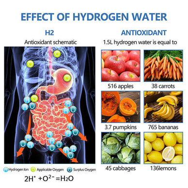 Transform Your Hydration, Elevate Your Life!